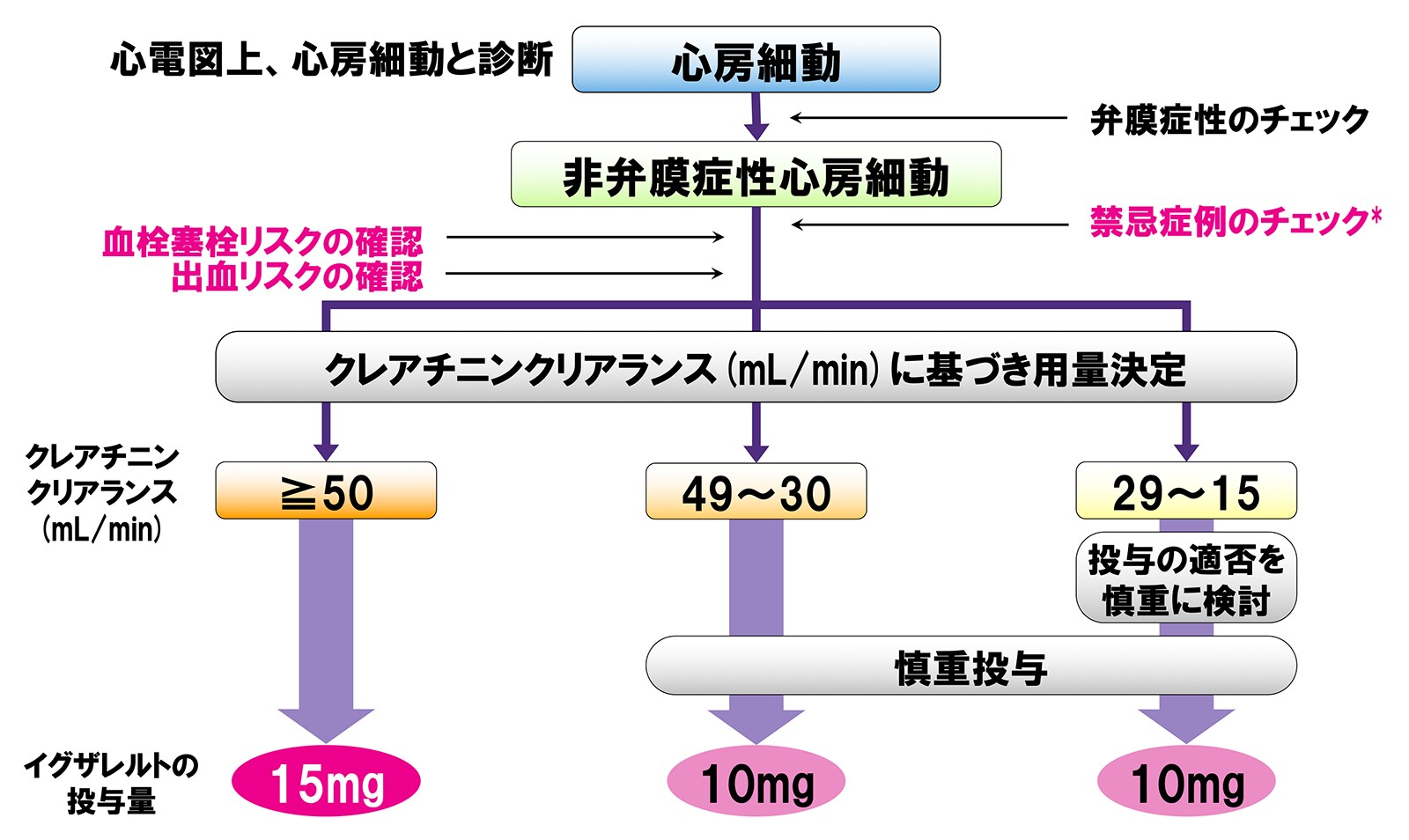 適正使用のお願い｜適正使用｜イグザレルト.jp